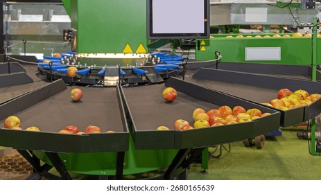 Electronic Weight Sorting Grading Machine Apple Fruit Processing Equipment