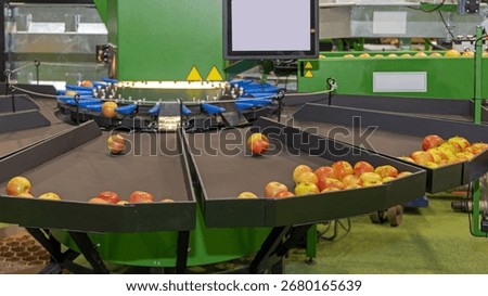 Electronic Weight Sorting Grading Machine Apple Fruit Processing Equipment