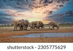 Elefants in Kenia Tanzania Safari