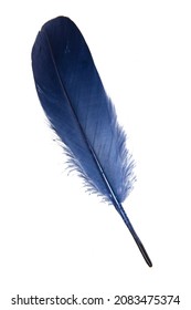 Elegance blue feather isolated on the white background - Shutterstock ID 2083475374