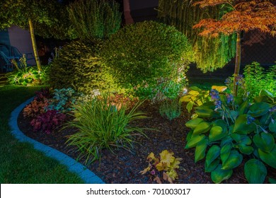 Elegant Backyard Garden Led Lights Illumination. Lighting in a Garden.