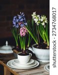 Elegant beautiful dinner table setting with a floral composition with bulbous hyacinth flowers as centrepiece. Easter celebration. White wine, vintage tableware. Bohemian style. Dark background