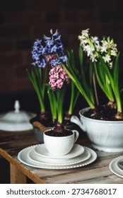 Elegant beautiful dinner table setting with a floral composition with bulbous hyacinth flowers as centrepiece. Easter celebration. White wine, vintage tableware. Bohemian style. Dark background