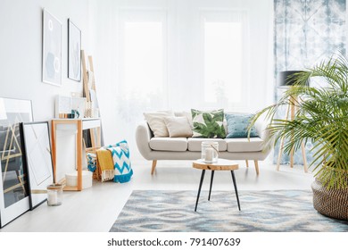 13,102 Small rug Stock Photos, Images & Photography | Shutterstock