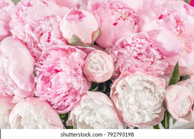 Elegant bouquet of a lot of peonies of pink color close up. Beautiful flower for any holiday. Lots of pretty and romantic flowers in floral shop. - Shutterstock ID 792793198
