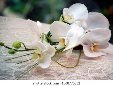 Elegant Bridal Teardrop Bouquet Of White Phalaenopsis / Moth Orchids. Wedding Flowers.