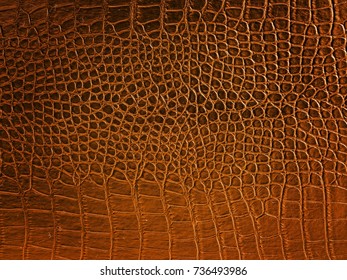 Elegant brown crocodile leather texture background.