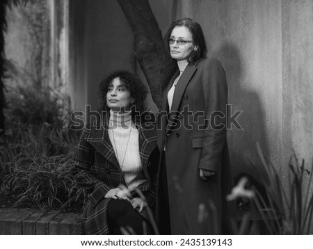 Similar – Image, Stock Photo happy twin sisters stand on a bridge and look up