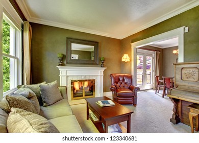 Elegant Classic Green Living Room With Fireplace And Piano.