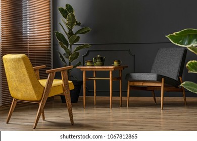 Elegant and dark apartment interior with classic wooden furniture and a large potted plant next to blinds and a black wall with molding - Shutterstock ID 1067812865