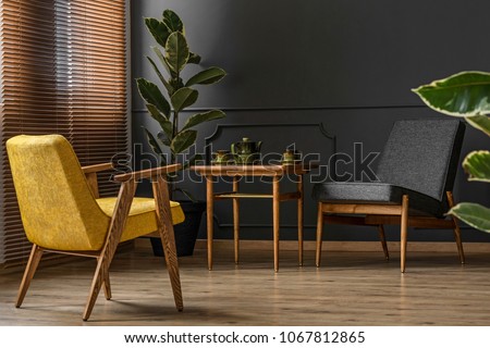 Elegant and dark apartment interior with classic wooden furniture and a large potted plant next to blinds and a black wall with molding