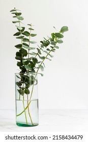 Elegant eucalyptus background . Floral backround .  - Shutterstock ID 2158434479