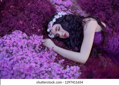 Elegant Fantasy Woman Goddess. Gentle Gorgeus Girl Sleep Magical Purple Flower Field Dreaming Beauty Long Dark Welness Hair Pink Wreath  Dress Fairy Tale Thumbelina, Color Spring Nature Artwork Makeup