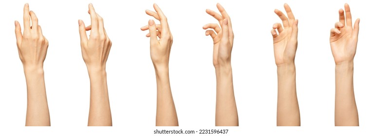Elegant female palm or wrist isolated on white. Variation beautiful woman palm with bent fingers. Front and back view