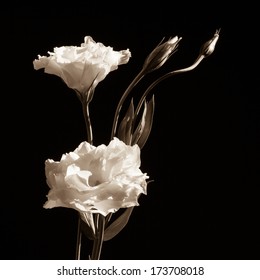 花 おしゃれ の写真素材 画像 写真 Shutterstock