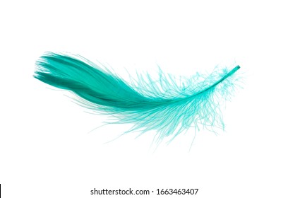 Elegant green feather isolated on the white - Shutterstock ID 1663463407
