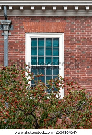 Elegant grid-patterned window on historic red brick building of Wigglesworth Hall at Harvard University in Cambridge, Massachusetts, USA