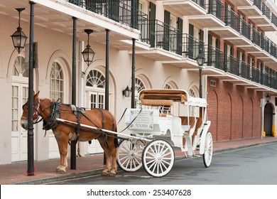 Elegant horse-drawn carriage in French Quarter, New Orleans