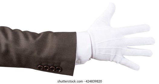 Elegant human hand isolated on white background