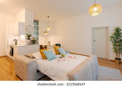 Elegant Living Room Furnished In Modern Apartment With A Sofa Bed. There Are Large Pillows And Red Rose Petals. Nobody Inside