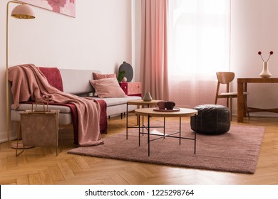 Elegant living room interior with trendy grey sofa with pastel pink pillow and burgundy blanket, wooden coffee tables next to it