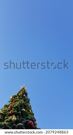 Oh Tannenbaum Natur Baum