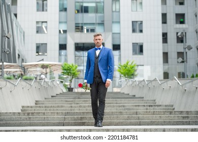 Elegant Man Bridegroom In Tuxedo. Bridegroom Wearing Tuxedo Walking Outdoor. Handsome Bridegroom