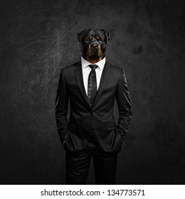 Elegant Man With Dog Head