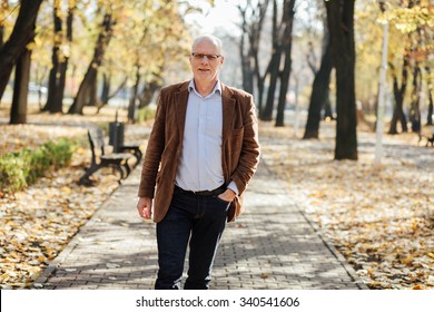 Elegant Old Men Walking Relaxed In Park