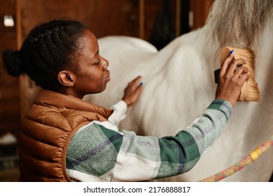 Elegant portrait of young black woman brushing horse in stables and grooming - Powered by Shutterstock