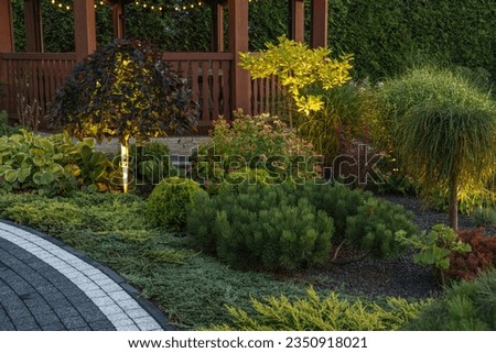 Elegant Residential Back Yard Garden Illuminated by Small Outdoor LED Lights. Gardening and Landscaping Theme.