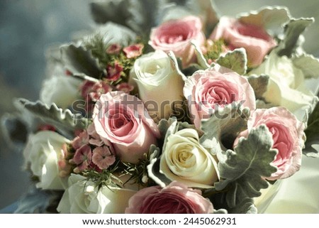 Elegant Roses - A close-up view of fresh, assorted roses in soft lighting