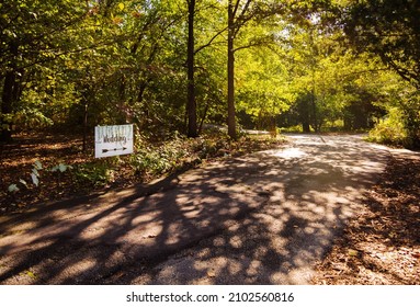 An Elegant Scene Of The Green Park Entrance With A Wedding Direction Sign, Natural Sunlight With Beautiful Soft Shadow Of Branches On The Pathway. Romantic Path To The Wedding Reception In The Garden.