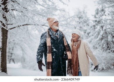 Elegant senior couple walking in the snowy park, during cold winter snowy day. - Powered by Shutterstock