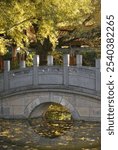 Elegant stone bridge in autumn. The scene captures an elegant stone bridge arching gracefully over a pond covered with fallen autumn leaves.