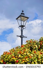 Elegant Street Lamp Above Hedge Of Bright Flowers. Blue Cloudy Sky.