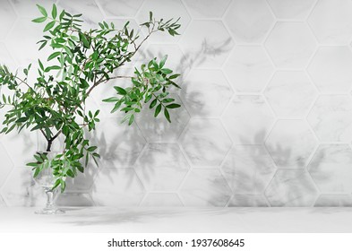 Élégant arrière-plan méditerranéen d'été - feuilles vertes sur branche avec ombre applaudie au soleil sur mur en marbre blanc, table en bois, espace pour copie.