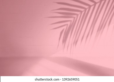 Elegant Summer Tropical Backdrop In Pink