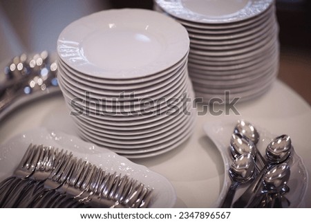 Elegant table setting. Crockery, kitchen. Group of steel metal spoons in tray, a restaurant side station. Elegant set of porcelain plates ready for a buffet dinner. Set of white dishes for party.
