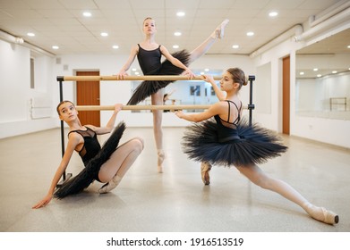 4,663 Teen ballerina Stock Photos, Images & Photography | Shutterstock