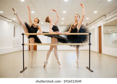 Elegant Teen Ballerinas Poses At Barre In Class