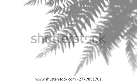 Elegant vertical reed shadow overlay on transparent background for grass botanical mockup texture, realistic dappled natural sunlight photography.