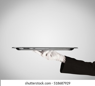 An elegant waiter business hand in white glove holding an empty plate with grey blank gradient background.