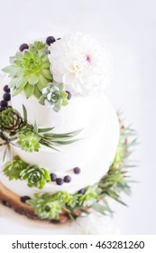 Elegant Wedding Cake With Flowers And Succulents