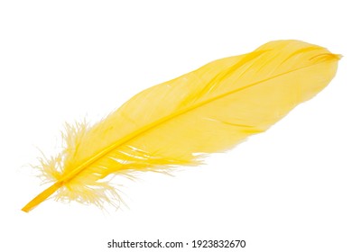 Elegant Yellow Feather Isolated On The White Background