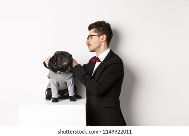 Elegant Young Man Dressing Up Cute Black Pug In Party Outfit, Getting Ready For Christmas Celebration, White Background