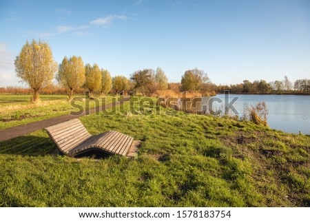 Image, Stock Photo Discoloration in autumn of the leaves of wild vine