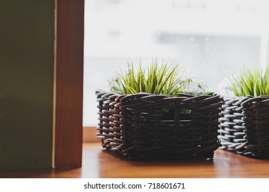 Element of the decor of the room.