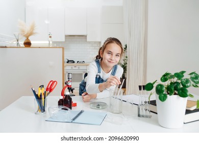 Elementary School Age Girl Trying To Do Home Science Project. She Has Glass Chemical Equipment And Microscope