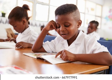 Elementary School Boy Reading A Book At His Desk In Class